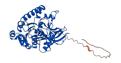 RTN4IP1 3D structure