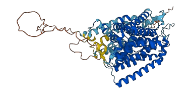 SLC5A11 3D structure