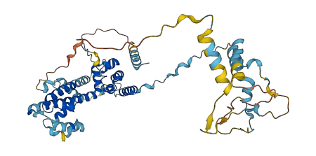PRPF31 3D structure
