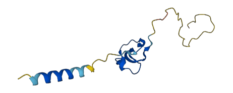 WFDC12 3D structure