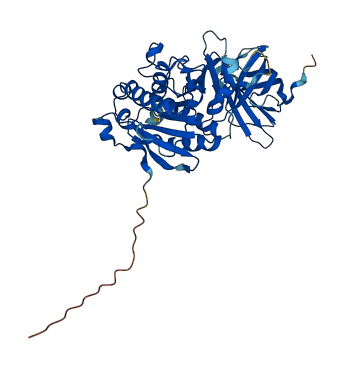 LIPH 3D structure