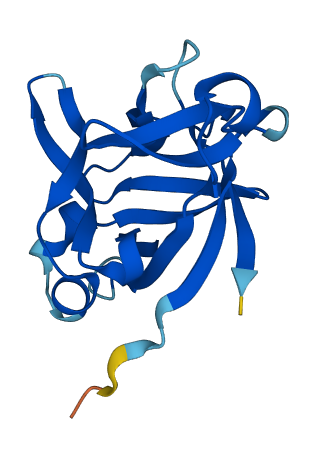 IL1F10 3D structure