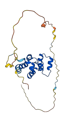 EDARADD 3D structure
