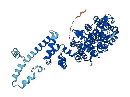 NELFB 3D structure