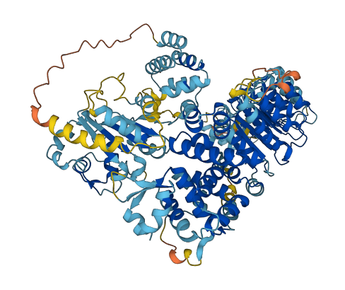 NLRP7 3D structure