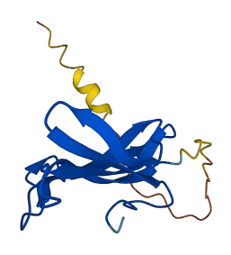PATE1 3D structure