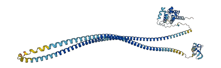 RUFY2 3D structure
