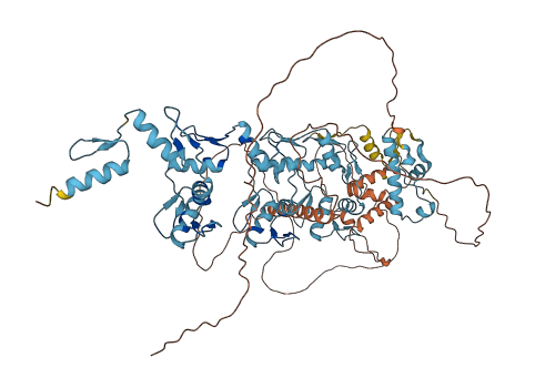 ZNF606 3D structure