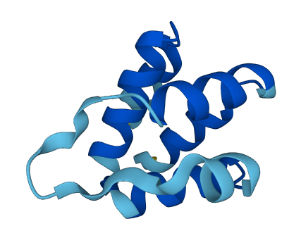 PYDC1 3D structure
