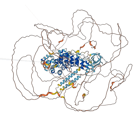 CASKIN1 3D structure