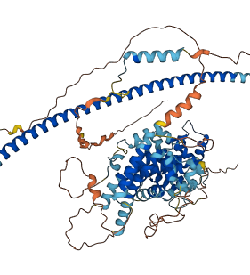 ATRIP 3D structure