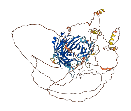 STON2 3D structure