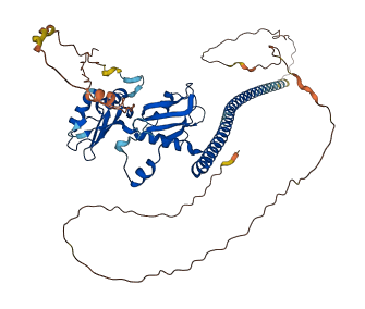 PSPC1 3D structure