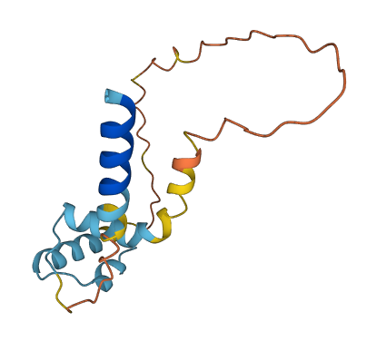 RLN3 3D structure