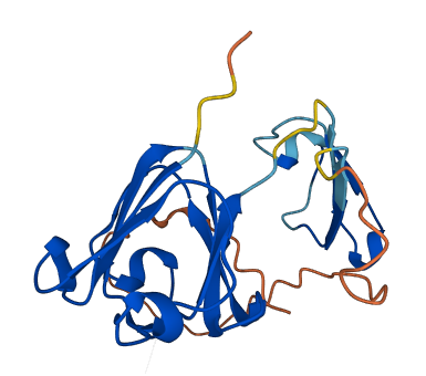 CRYGN 3D structure