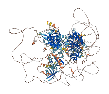 MADD 3D structure