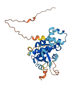 RAB40A 3D structure