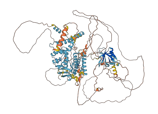 CNKSR2 3D structure