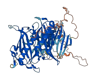 ACOT11 3D structure
