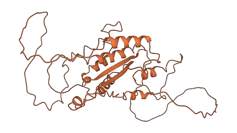 LINC01599 3D structure
