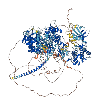 MYO3B 3D structure