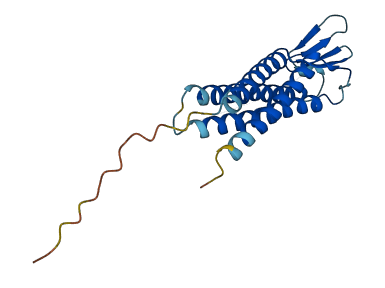 TMEM37 3D structure