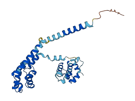 DNAJC9 3D structure