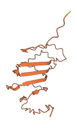 PLAC4 3D structure