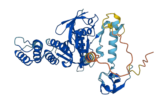 MYLIP 3D structure