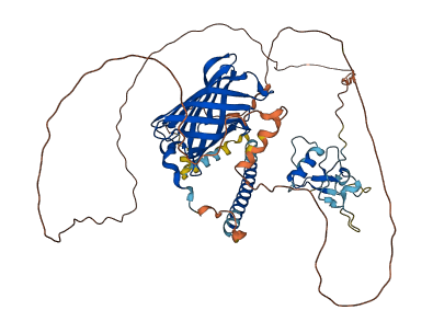 THAP4 3D structure