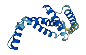 TMEM234 3D structure