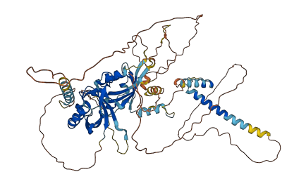 ARNTL2 3D structure