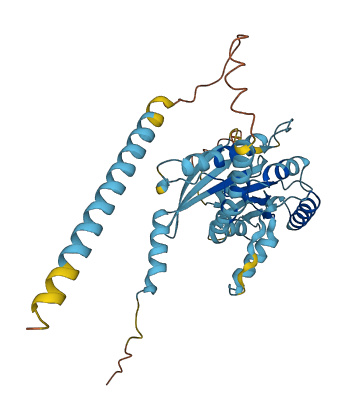 SEPTIN1 3D structure