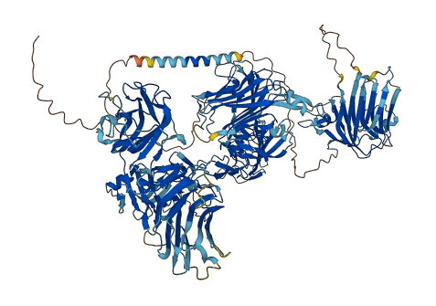 CNTNAP5 3D structure