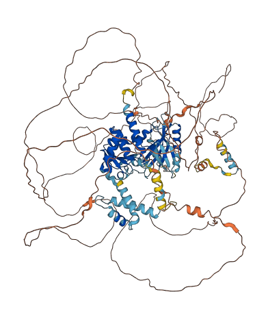 SSH1 3D structure