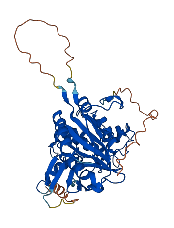 ATG4A 3D structure