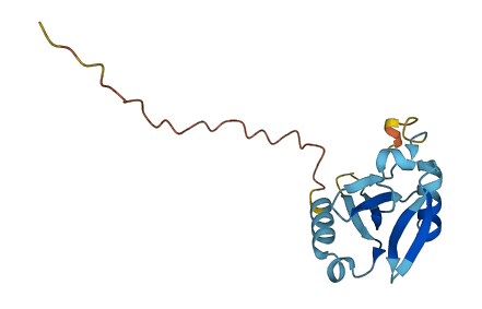 C22orf15 3D structure