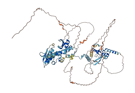 DGCR8 3D structure