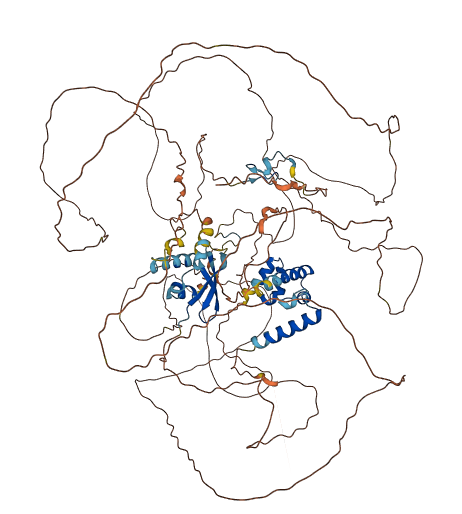 ZCCHC14 3D structure