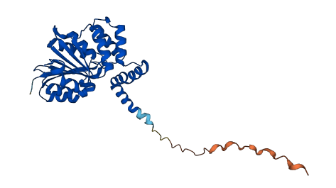 LRTOMT 3D structure
