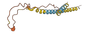 PP6455 3D structure