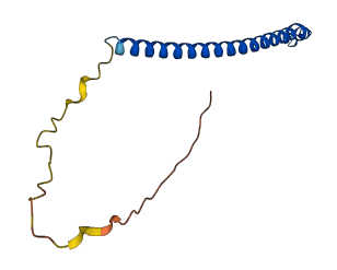 MAFIP 3D structure
