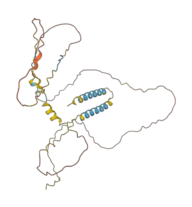 BSND 3D structure