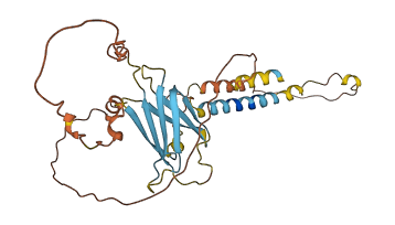 TMEM158 3D structure