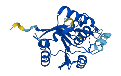 OVCA2 3D structure