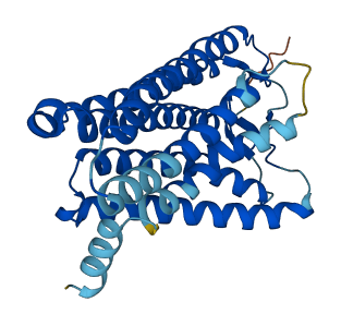 OR8D1 3D structure