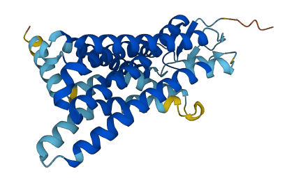 OR5P3 3D structure