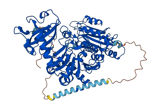 POMGNT1 3D structure
