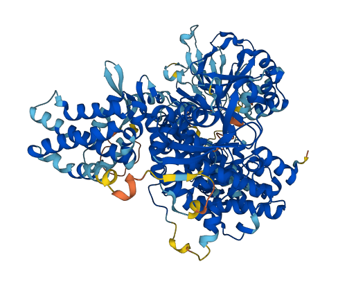 RAPGEF4 3D structure