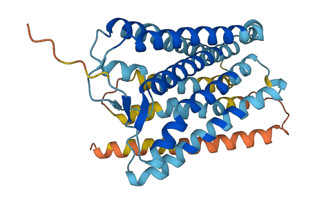 OR1E3 3D structure